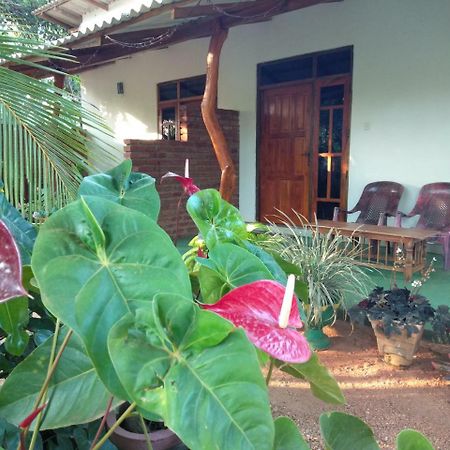 Amaya River Side Homestay Sigiriya Exterior photo