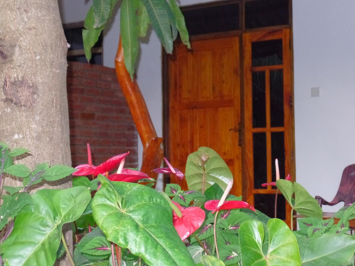 Amaya River Side Homestay Sigiriya Exterior photo