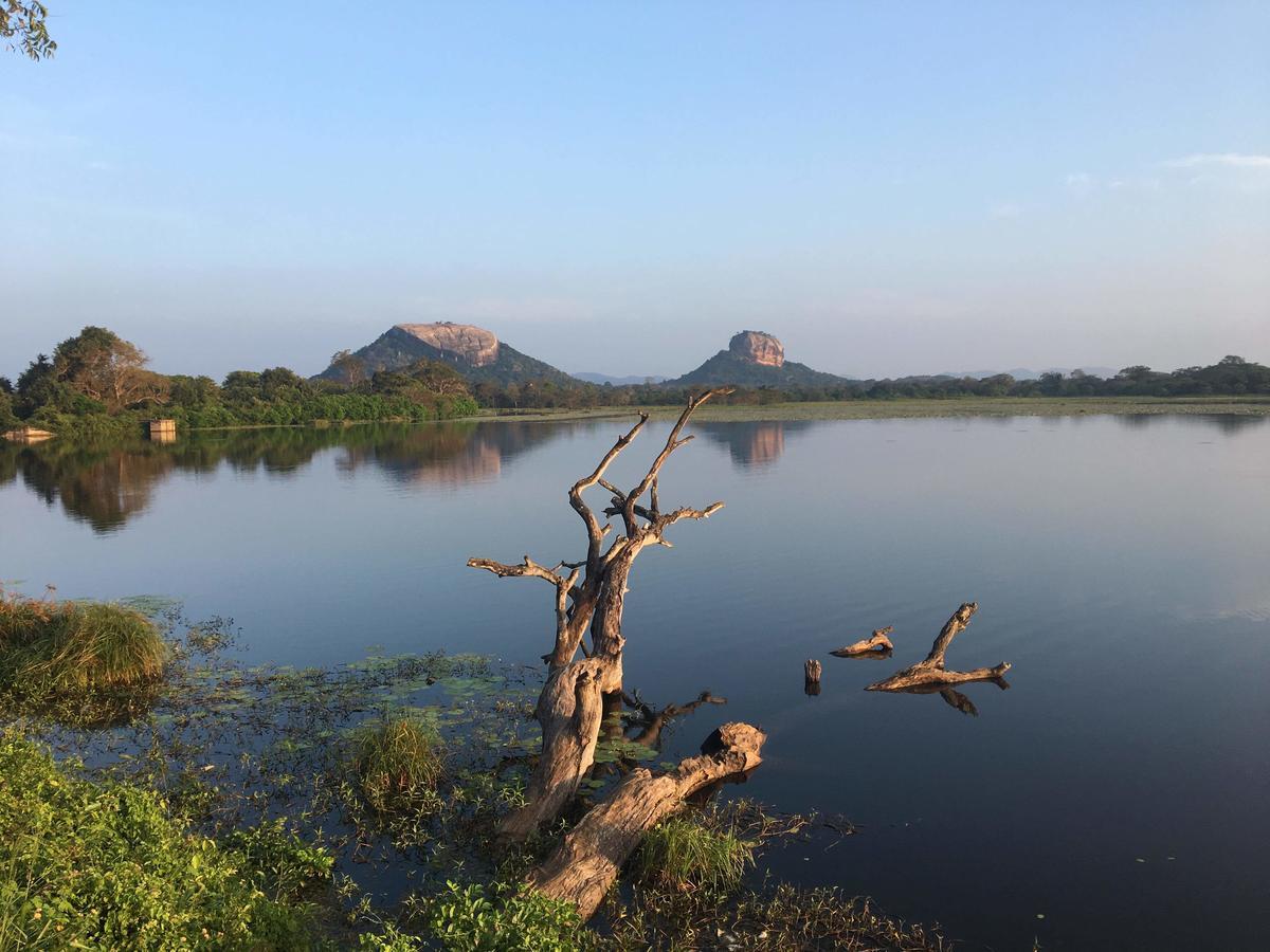 Amaya River Side Homestay Sigiriya Exterior photo