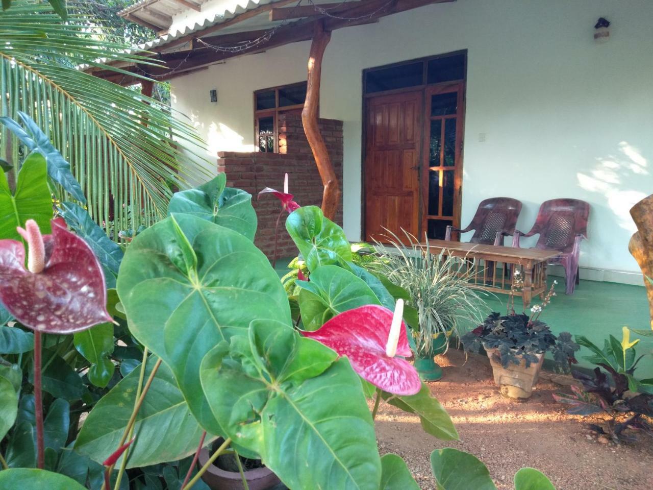 Amaya River Side Homestay Sigiriya Exterior photo